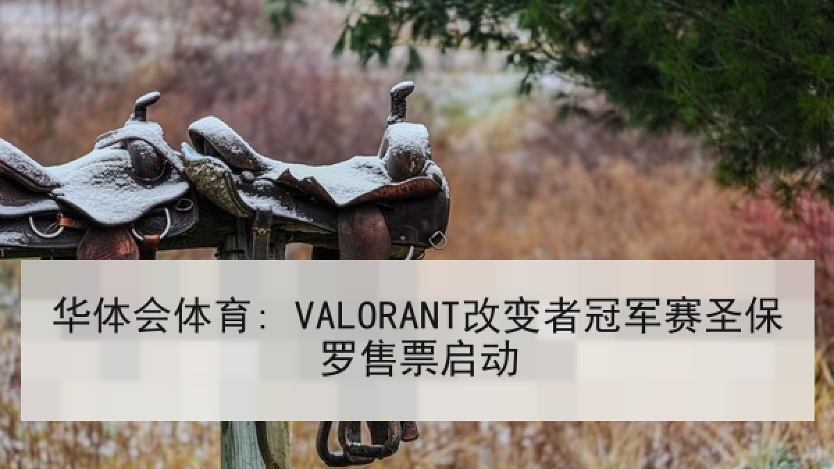 华体会体育: VALORANT改变者冠军赛圣保罗售票启动