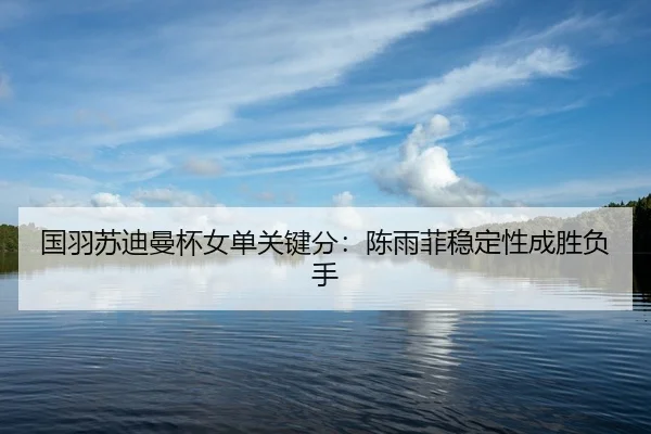 国羽苏迪曼杯女单关键分：陈雨菲稳定性成胜负手