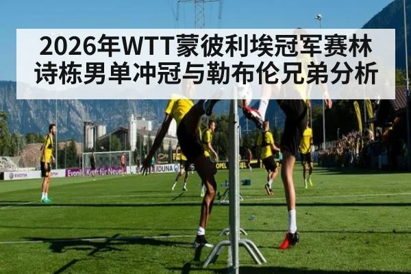 2026年WTT蒙彼利埃冠军赛林诗栋男单冲冠与勒布伦兄弟分析